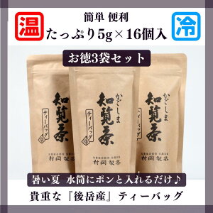 【ティーバッグ3袋セット】かごしま知覧茶 緑茶ティーバッグ 1袋80g(5g×16個)鹿児島県知覧町産 ホットでもアイスでも 農家直送 煎茶 緑茶 お茶 日本茶