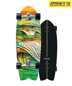 CARVER J[o[ O XP[g{[h LANDXP[g 29.0inch CX 2022 SWALLOW