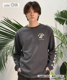 SALTY CREW ソルティークルー 長袖 Tシャツ メンズ ロンT バックプリント FREE SURF 74-063