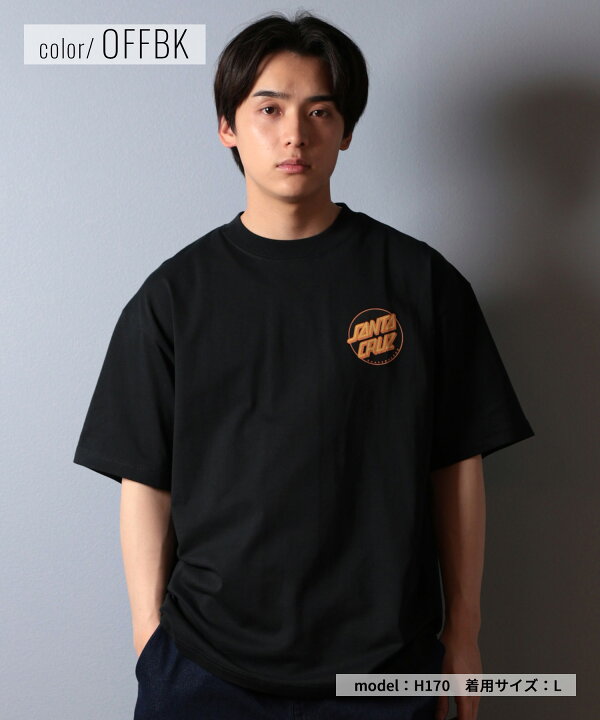 楽天市場】SANTACRUZ サンタクルーズ 半袖 Tシャツ メンズ バック 