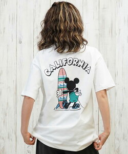 ANTIBAL AeBo  bVK[h  TVc fB[X ~bL[}EX p UVJbg 253AN2ST570