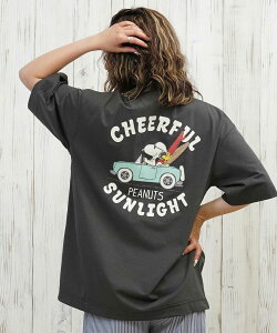 ANTIBAL AeBo  bVK[h  TVc fB[X Xk[s[ p UVJbg 253AN2ST641