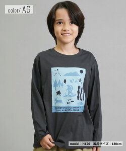 THE NORTH FACE UEm[XEtFCX  TVc T LbY WjA q m L S SHIRETOKO T NTJ82530ST