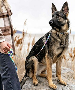 WOLFGANG EtMO p [h FeatheredFriend Leash STCY ^p tFU[hth [V }`J[ WL-001-85