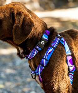 WOLFGANG EtMO p n[lX MarbleWave Harness STCY ^p ^p  }[uEFCu u[n WH-001-102