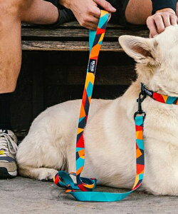 WOLFGANG EtMO p [h ShatterShapes Leash STCY ^p Vb^[VFCvX [V }`J[ WL-001-105