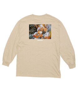 Xm[{[h Ci[EFA jZbNX AUTUMN I[^ IDAHO L/S SHIRT T 23-24f TLX|[c KK G29