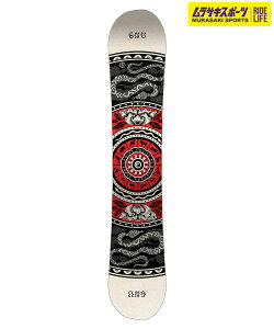 y2526zGNU Ok[ Xm[{[h  fB[X LADIES CHOICE TLX|[c 25-26f MM A31