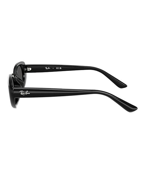 楽天市場】RAY-BAN/レイバン 0RB4441D サングラス : ムラサキスポーツ