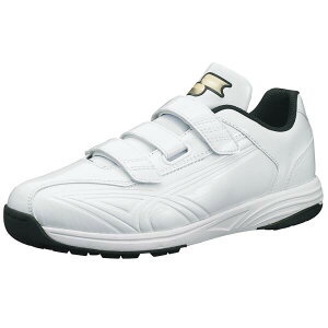 yzg[jOV[Y GXGXPC X^[i[TR SSF5200 1010J[(zCg/zCg) m싅 gV[ SSK Y n