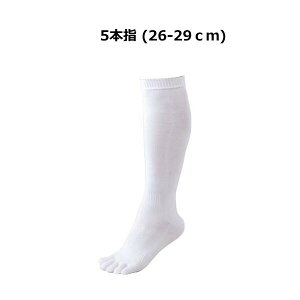 y[֑Ή i1܂Łz싅A_[\bNX BK035O [bg 5{w\bNX (3g)26-29cm zCgmZETT 싅E\tg{[ \bNX O^Cv C n