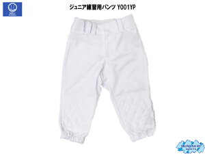 X}Cfbh{[ WjAKppc Y001YP 싅 jtH[