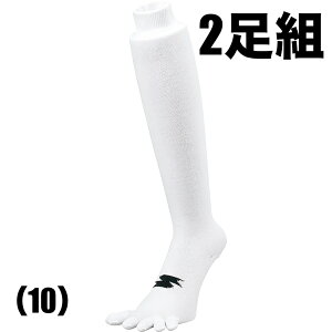 y[֑Ή i1܂Łz싅\bNX YA1929 SSK GXGXPC 5{w\bNX (2g)27-29cm G^Cv zCg 