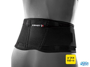 UXg 383305 ZW-3 pT|[^[ \tgT|[g LLTCY [ZAMST]