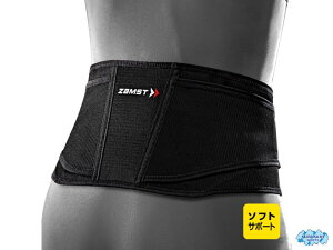 UXg 383403 ZW-4 pT|[^[ \tgT|[g LTCY [ZAMST]