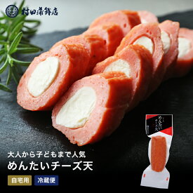 2025 ギフト さつまあげ 【めんたいチーズ（1本入）】 90g 初節句 内祝い お祝い お返し かまぼこ 母の日 父の日 お中元 お歳暮 おつまみ 惣菜ギフト 2025 さつま揚げ