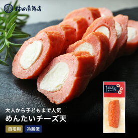 お歳暮 ギフト さつまあげ 【めんたいチーズ（1本入）】 90g 初節句 内祝い お祝い お返し かまぼこ 母の日 父の日 お中元 お歳暮 おつまみ 惣菜ギフト 2025 さつま揚げ