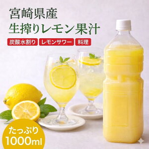 �{�茧�Y ���Y�������ʏ`100% ���Y�� ����� 1000ml ��e�� �������T���[ ���k�ʏ`�@�Ɩ��p�@�Ⓚ