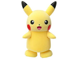 ポケットモンスター ピカチュウあるくでチュウ!