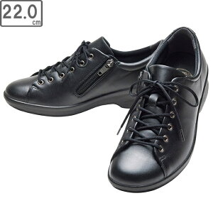 ASAHI ATqV[Y ATqfBJEH[N AMW CC L027 ubN 22cm KV30115