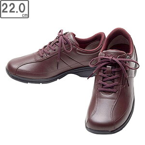 ASAHI ATqV[Y ATqfBJEH[N AMW LF C 22cm KV77072