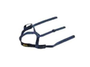 [bg ZETT }XNohBLMB6(lCr[)