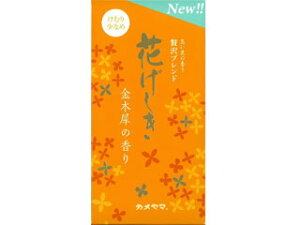 KAMEYAMA J} Ԃ ؍҂̍