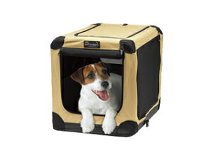 hbOP[W Spectrum XyNguYWp \t-N[g n2 M x[W