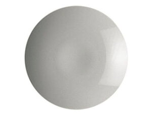 Rosenthal/���[�[���^�[�� �g�[�}�X���t�g�@11900�|10229�^�O�����v���[�g�@28cm