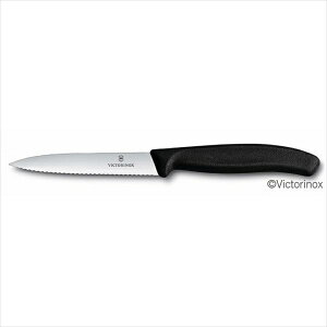 VICTORINOX rNgmbNX yeB[iCt gn (ubN) 10cm 6.7733E