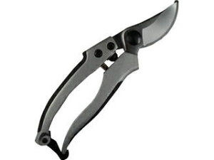 DAISHIN i EG A~_CLXgDX 502099