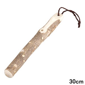 MARUJYU ۏ\ 񂵂傤 肱_ ^30cm