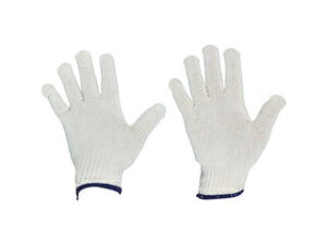 TRUSCO gXRR ȌR 1o ڕt600g TCG600-1P