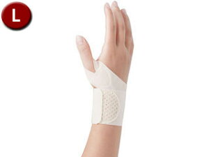 D&M fB[G T|[^[ ew RpNgT|[^[ Ep L