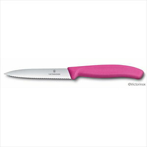 VICTORINOX rNgmbNX yeB[iCt gn sN 10cm 6.7736.5FCE