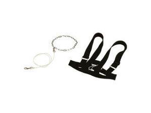 DANNO/W쐻쏊 ^CxgDX