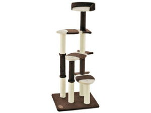 Petio yeBI AhCg L̂у|[ t@~[ nC^Cv