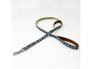 Petio yeBI AhCg A[KC[h M u[