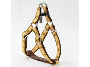 Petio yeBI AhCg A[KCn[lX M IW