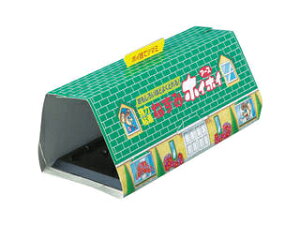 Earth A[X ˂݃zCzC 063700