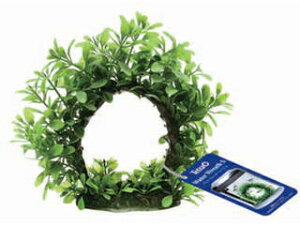 Spectrum XyNguYWp eg EH[^[[X S