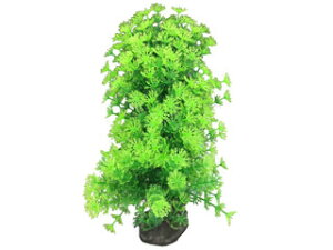 Spectrum XyNguYWp eg tLVuvg FP-7