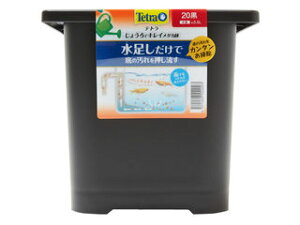 Spectrum XyNguYWp eg 傤ŃLC_J 20 