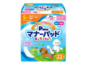 DAIICHI EIZAI q P.one j̎q̎qp }i[pbhActive STCY 22
