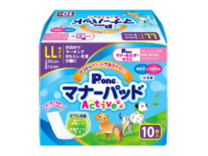 DAIICHI EIZAI q P.one j̎q̎qp }i[pbhActive LLTCY 10