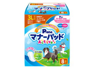 DAIICHI EIZAI q P.one j̎q̎qp }i[pbhActive 3LTCY 8