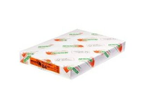 �k�z�I�B���� NEW�t�@�C���J���[ 64G 500�� B4 �I�����W
