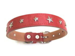 ONS 쐻쏊 JtX^[J[ 24 bh