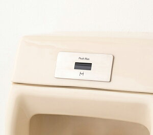 minamisawa ~i~T Flush Man/tbV}Jo[3 ̌^֊p US301Cp AC100V^Cv FM10TWA