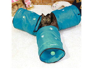 DoggyMan hM[}nV ybgV RlNgl L ˂  gl yhM[}@L@ObYz